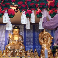 대원정사 삼성각 연등 개인등 (1년)